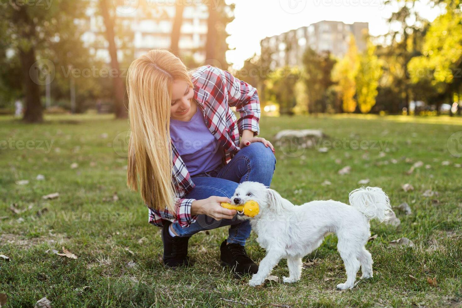 Beautiful woman is playing with her Maltese dog in the park. photo