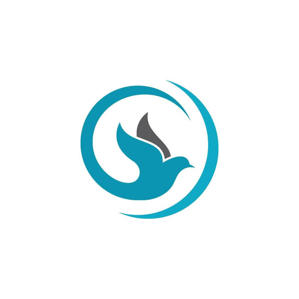 Bird wing Dove icon Template vector illustration