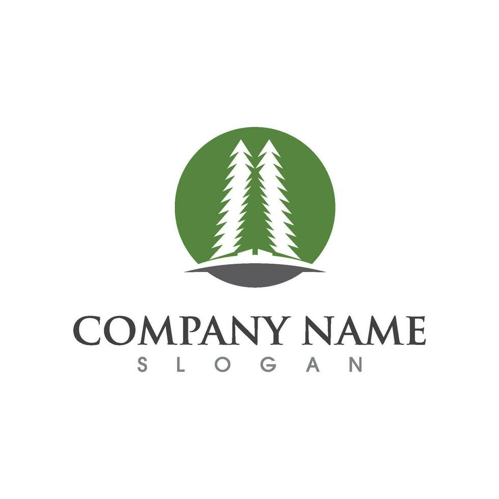 Cedar tree Logo template vector