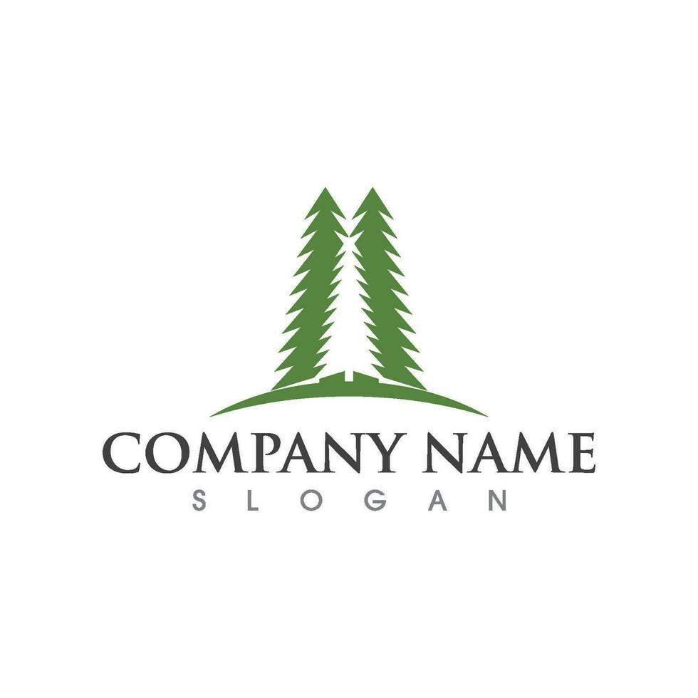 Cedar tree Logo template vector