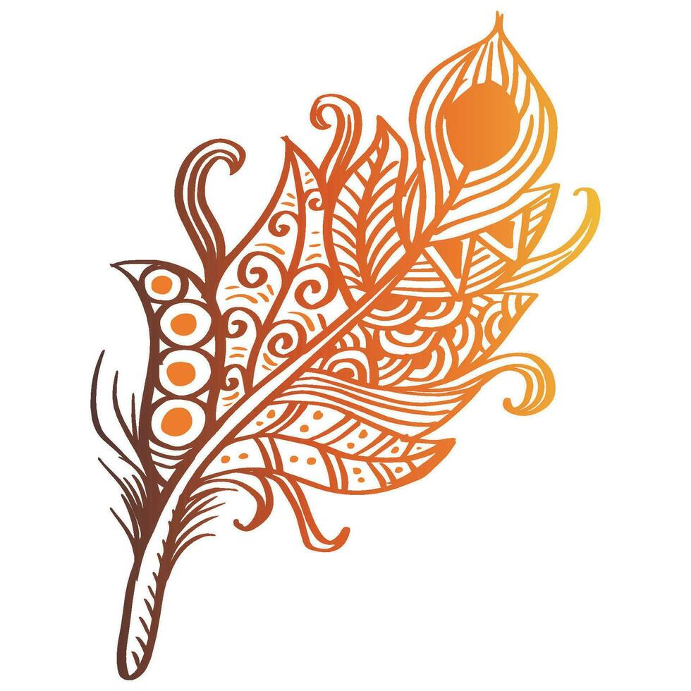 Hand drawn feather decorative illustration. vector
