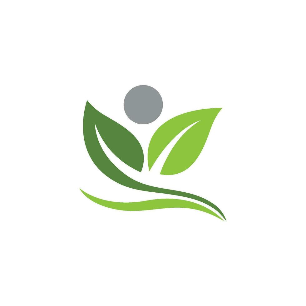 logotipos de la ecología de la hoja del árbol verde vector