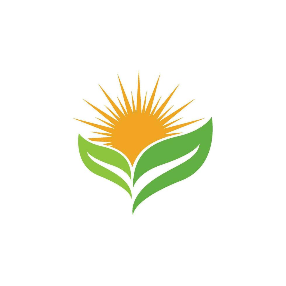 logotipos de la ecología de la hoja del árbol verde vector