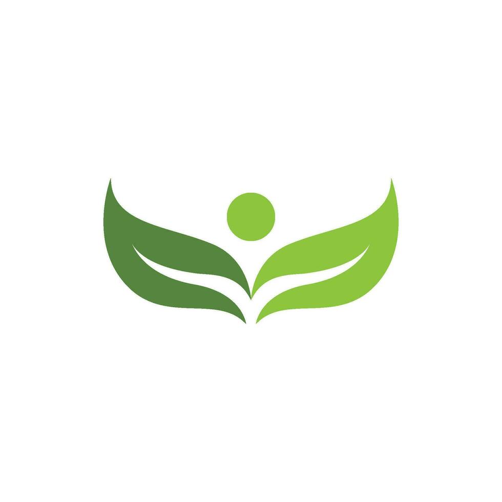 logotipos de la ecología de la hoja del árbol verde vector