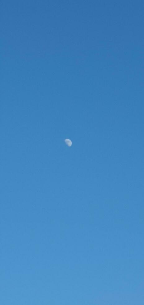 a lone airplane flying in the blue sky photo