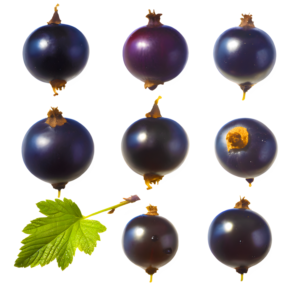 AI generated Blackcurrant sliced isolated on transparent background png