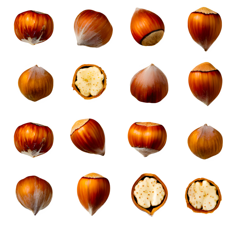 AI generated Hazelnut sliced isolated on transparent background png