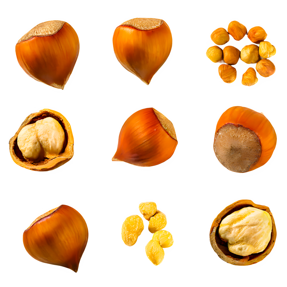 AI generated Hazelnut sliced isolated on transparent background png