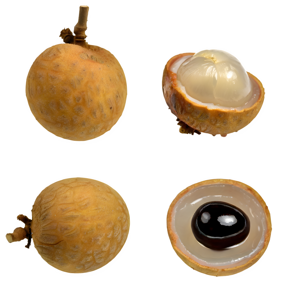 AI generated longan fruit and sliced isolated on transparent background png