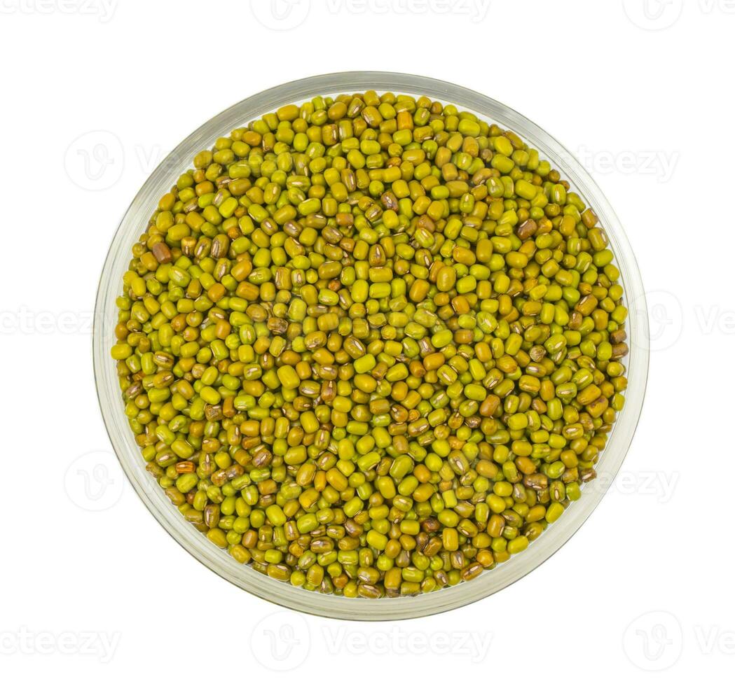 Green Mung Beans photo