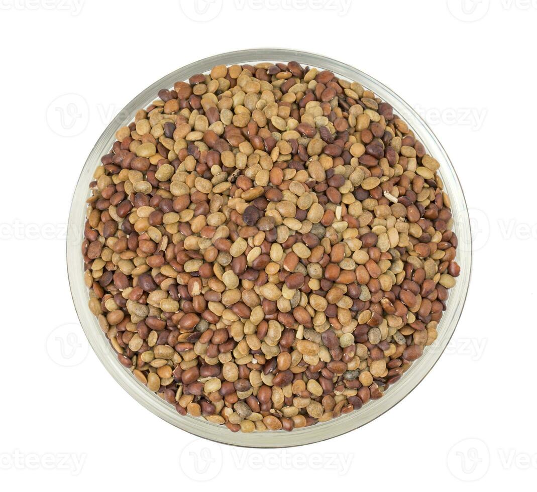 Red Lentil Seeds on White Background photo