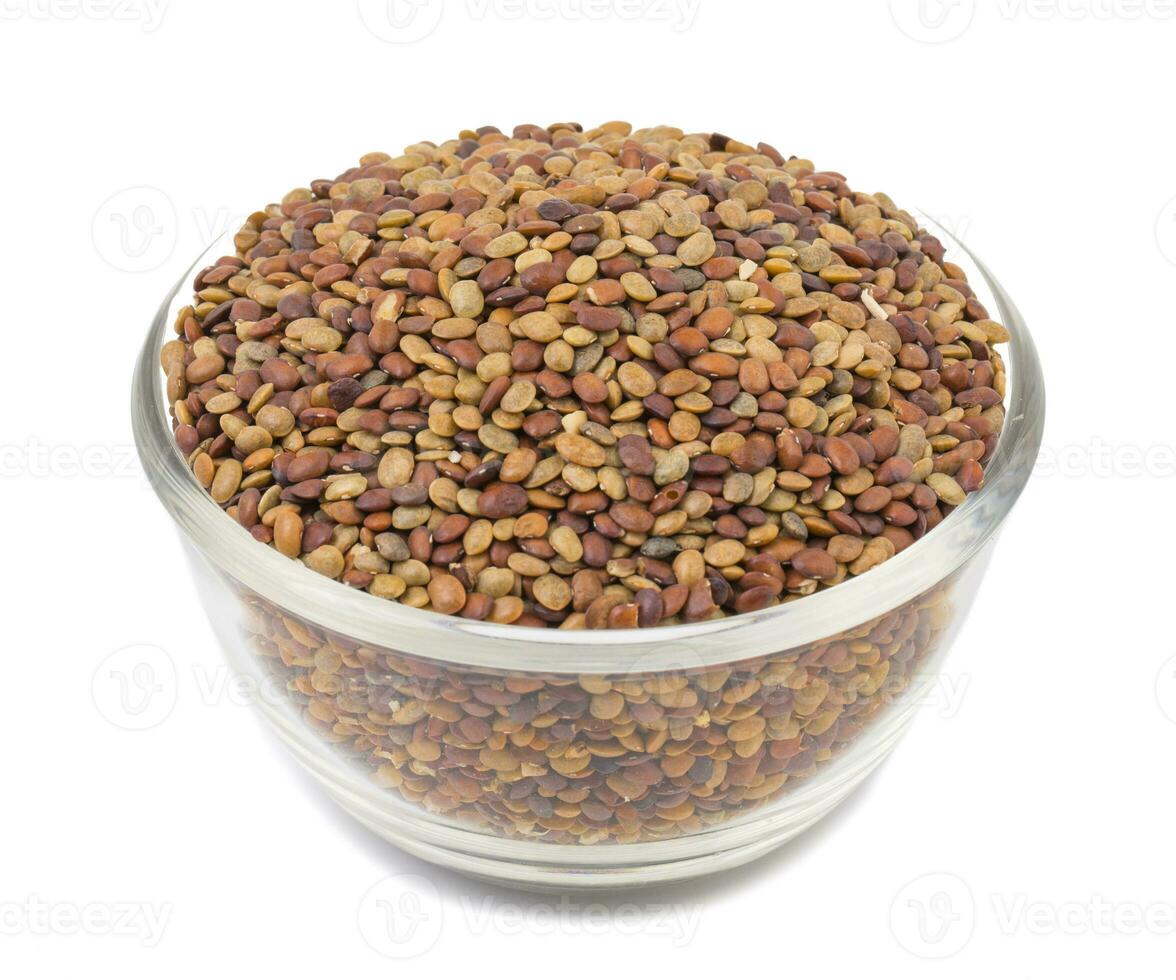 Red Lentil Seeds on White Background photo