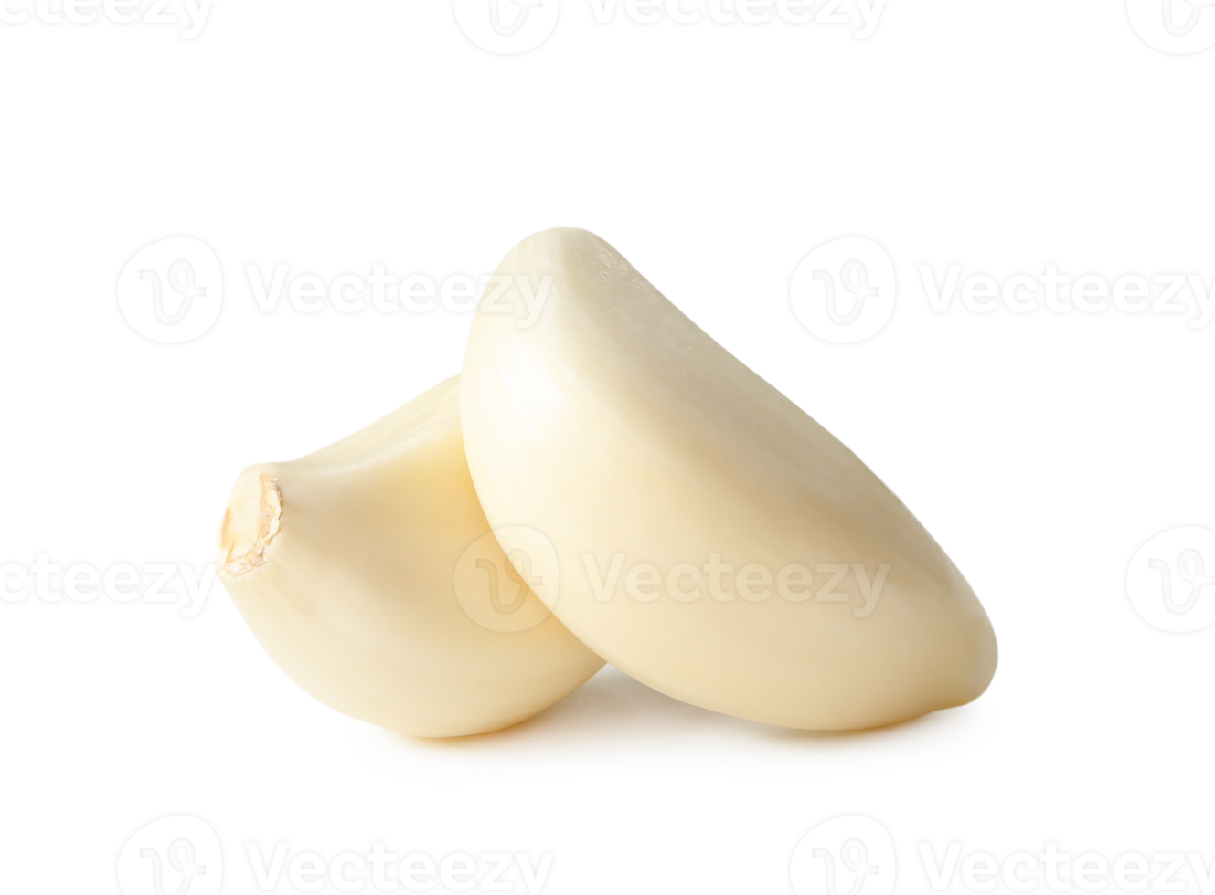 Fresh peeled garlice cloves isolated with clipping path and shadow in png file format