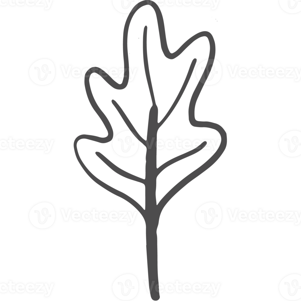 Sketche collection of woodland line png