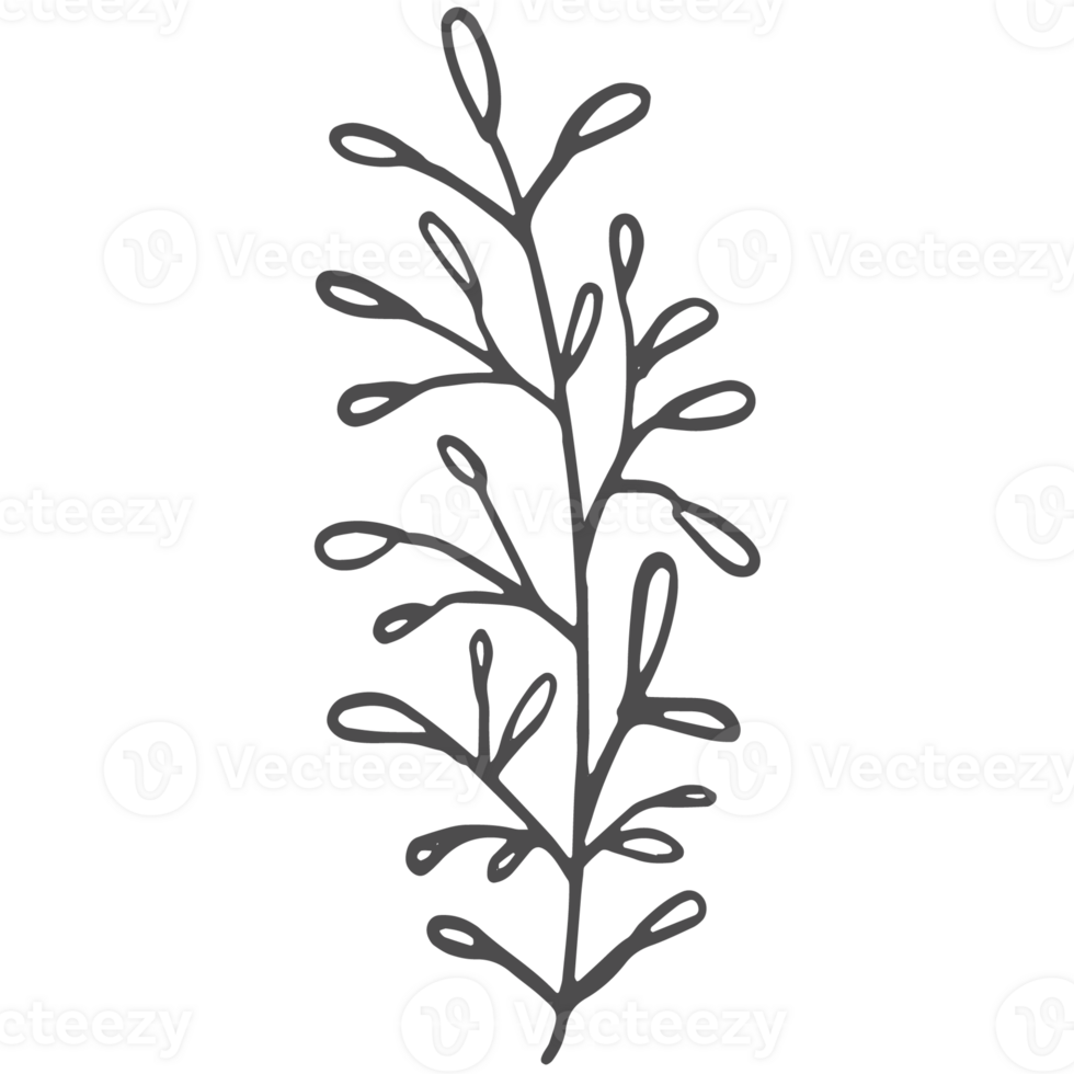 Sketche collection of woodland line png