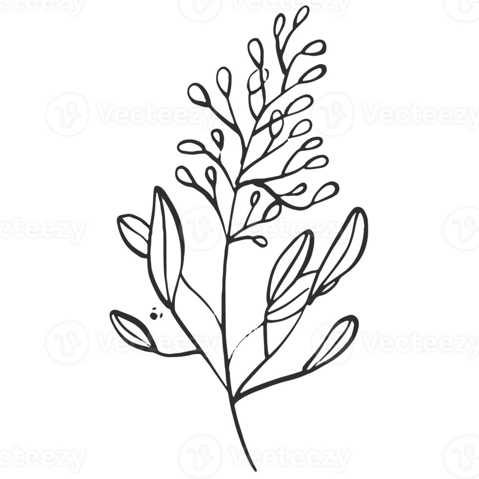 Sketche collection of woodland line. png