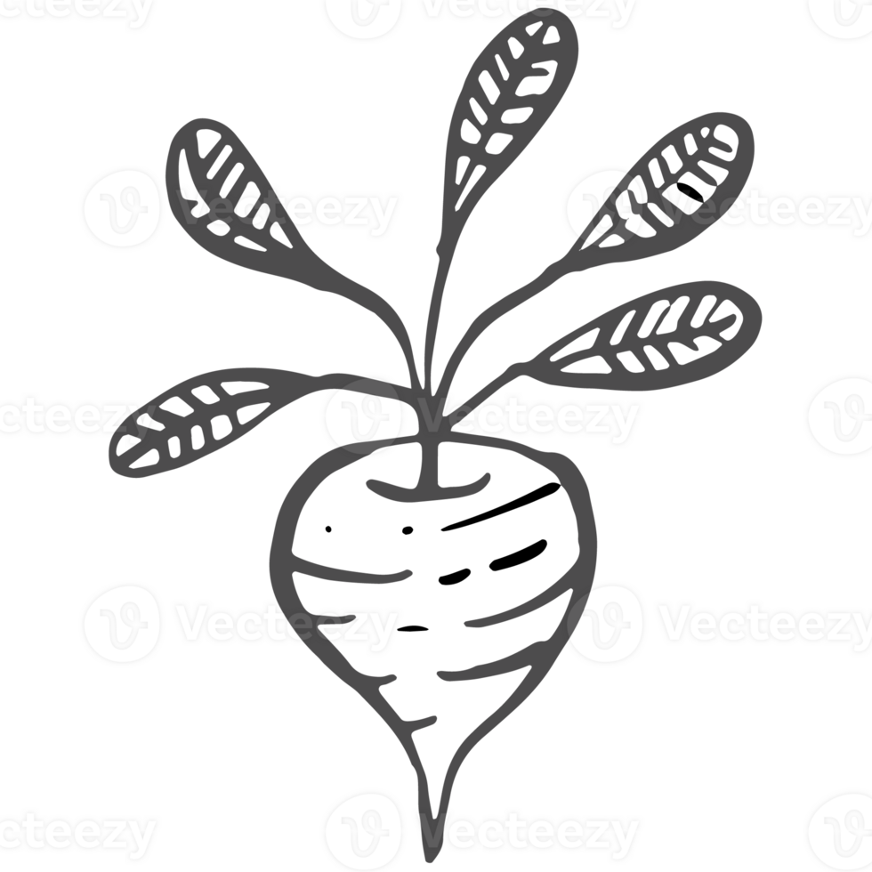 Sketche collection of woodland line. png