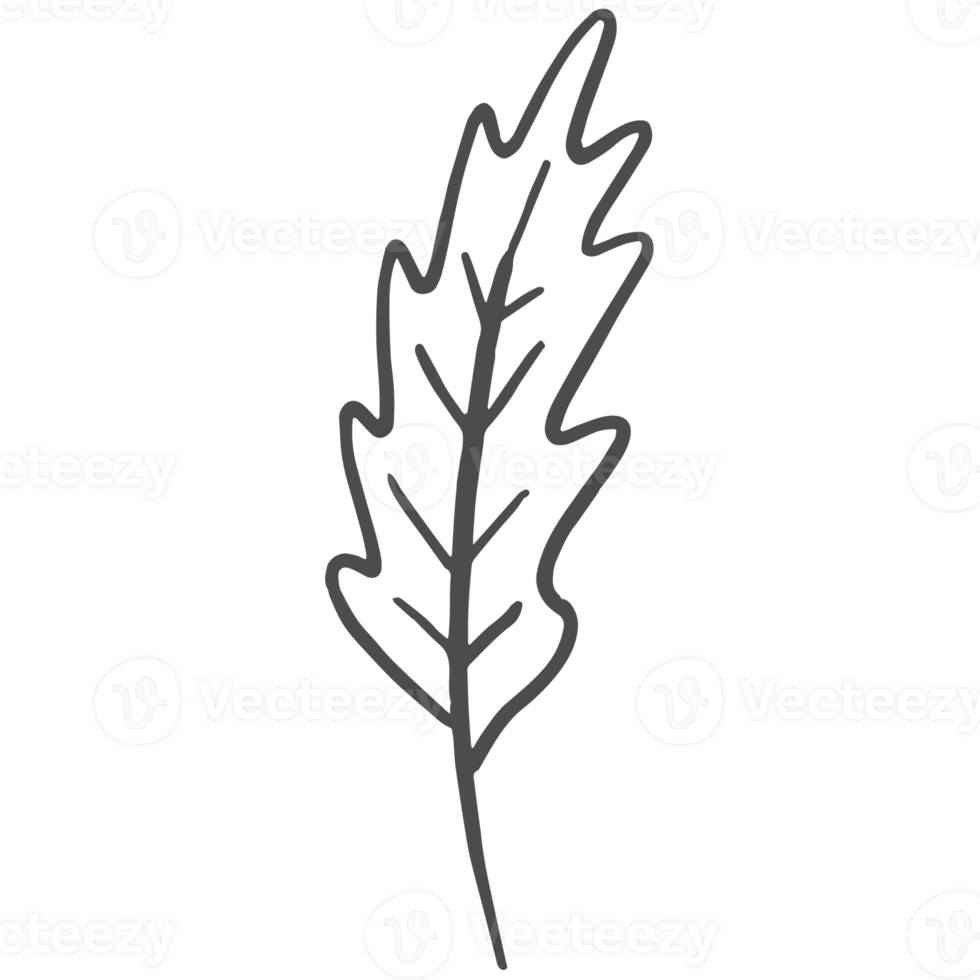 Sketche collection of woodland line png