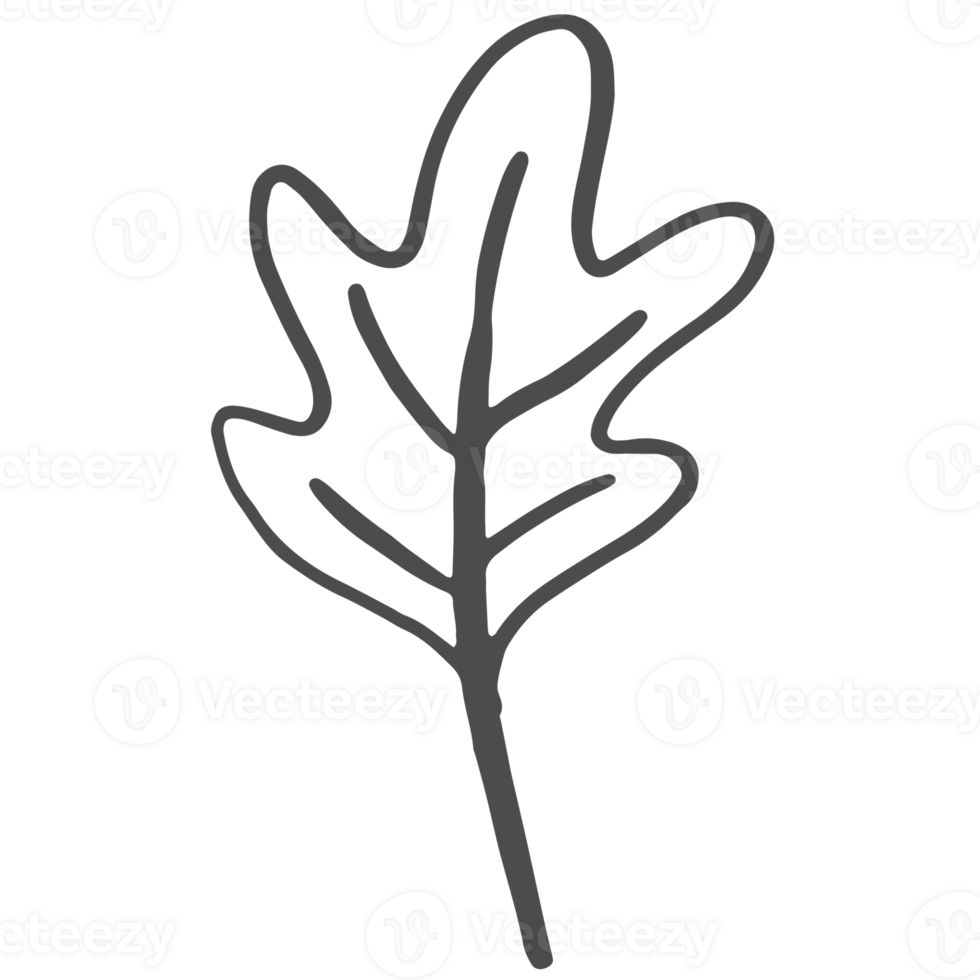 Sketche collection of woodland line png