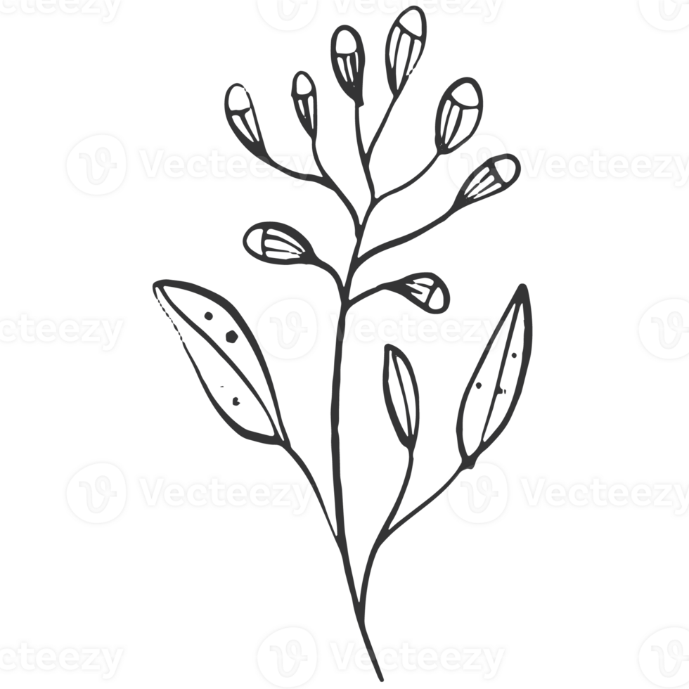 Sketche collection of woodland line. png