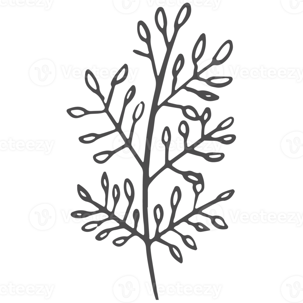 Sketched collection of woodland line png