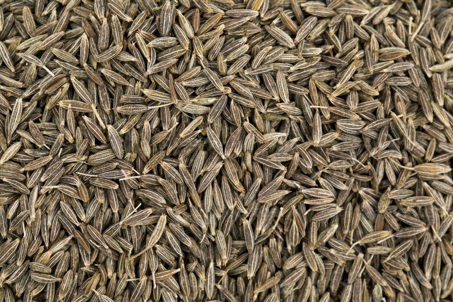 Pile of Dried Cumin Seeds photo