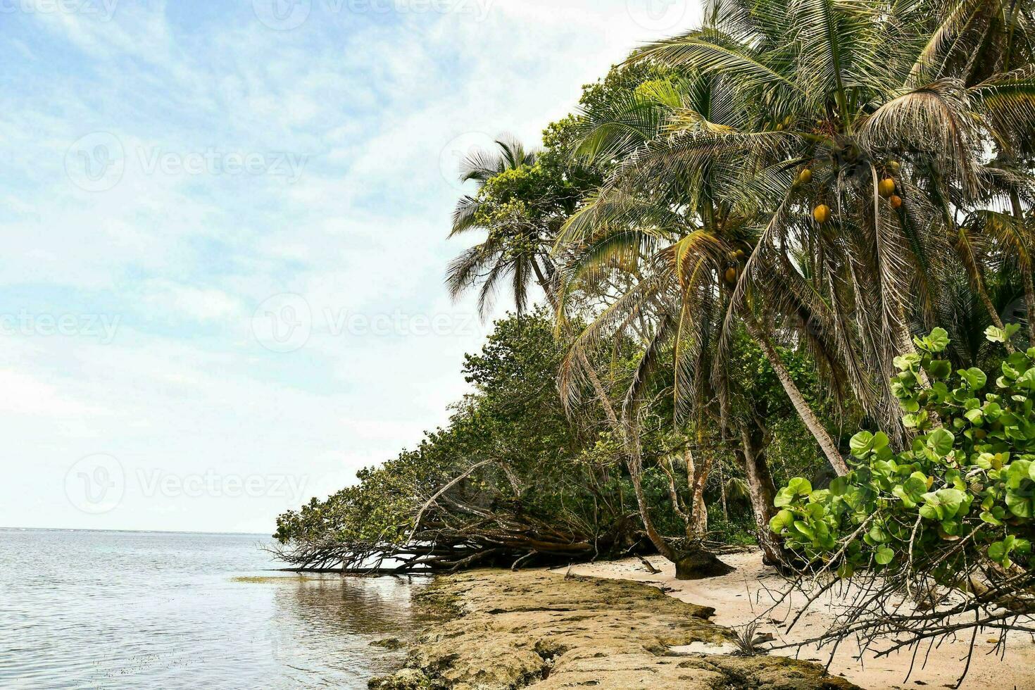 Scenic beach view photo