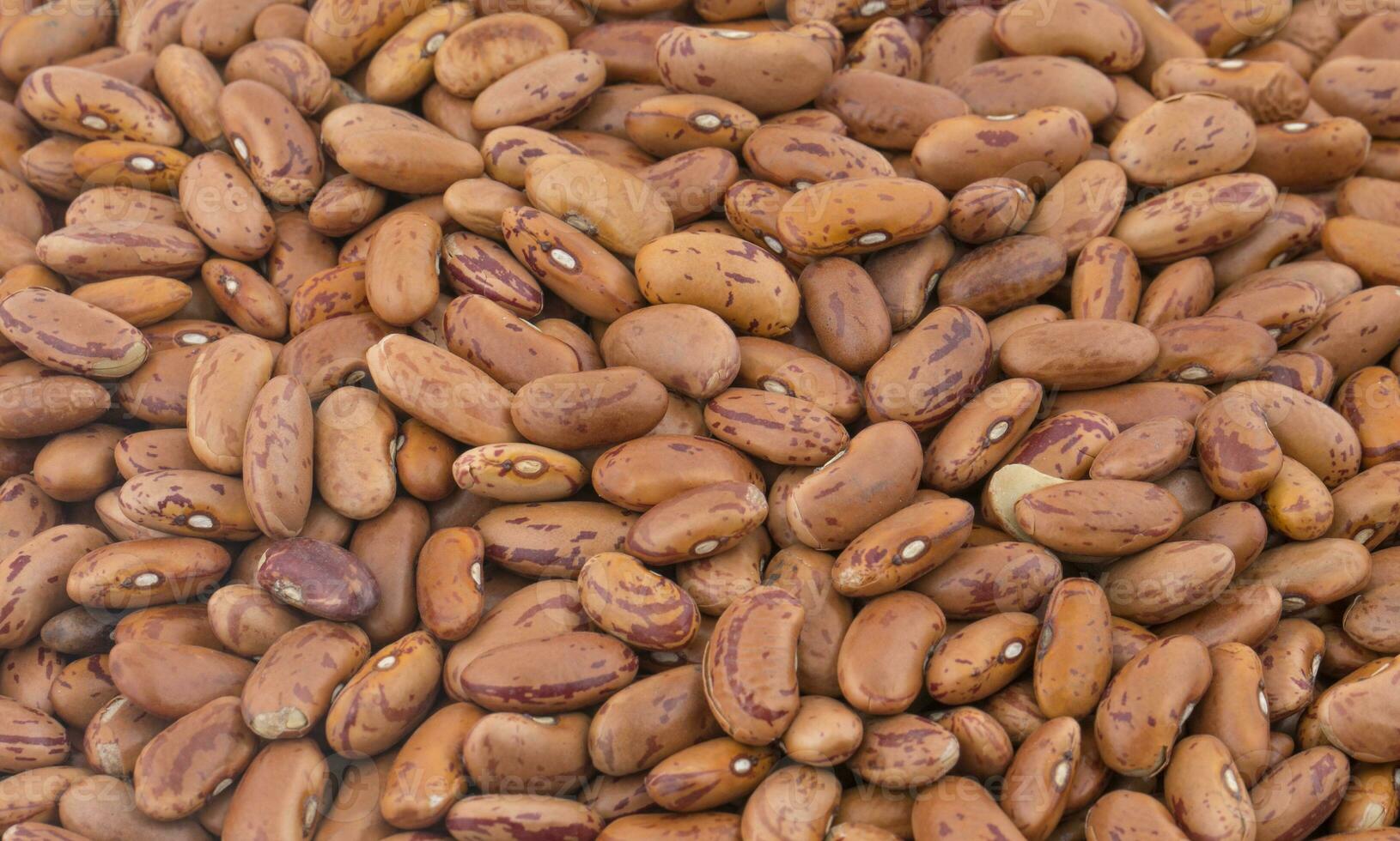 Red Kidney Beans Background photo