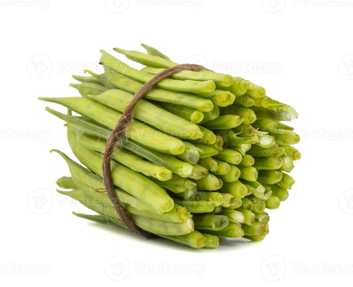 Guar or Cluster Bean on White Background photo