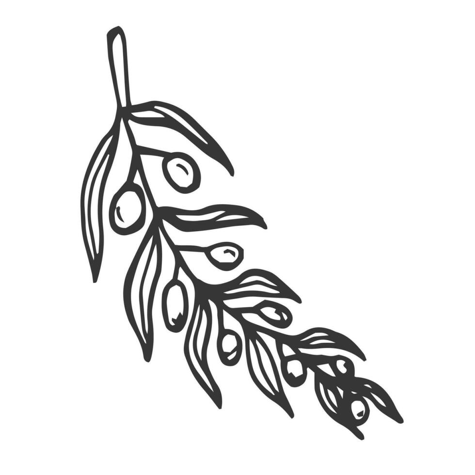 Hand drawn olive branch isolated on white background. Outline olive tree branch for menu, logo, greeting cards, patterns, web. Line art, one line doodle olive branch. vector