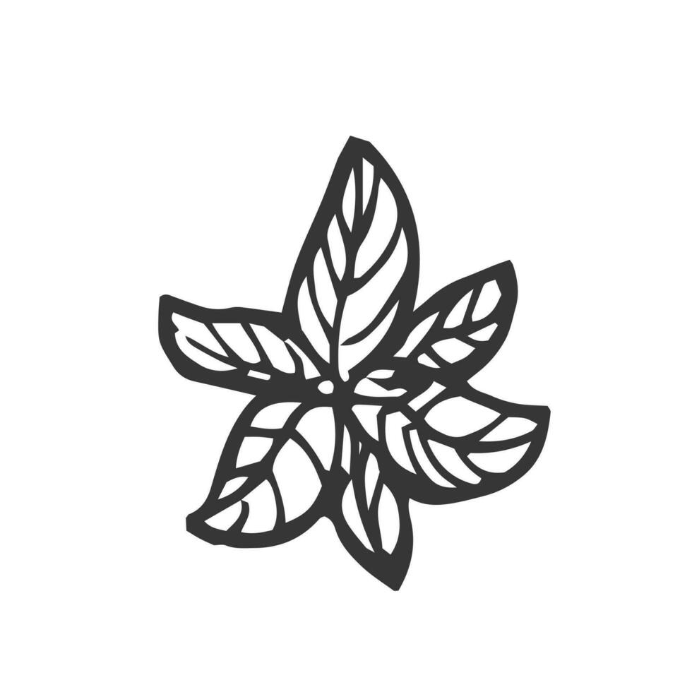 mano dibujado albahaca hojas bosquejo vector