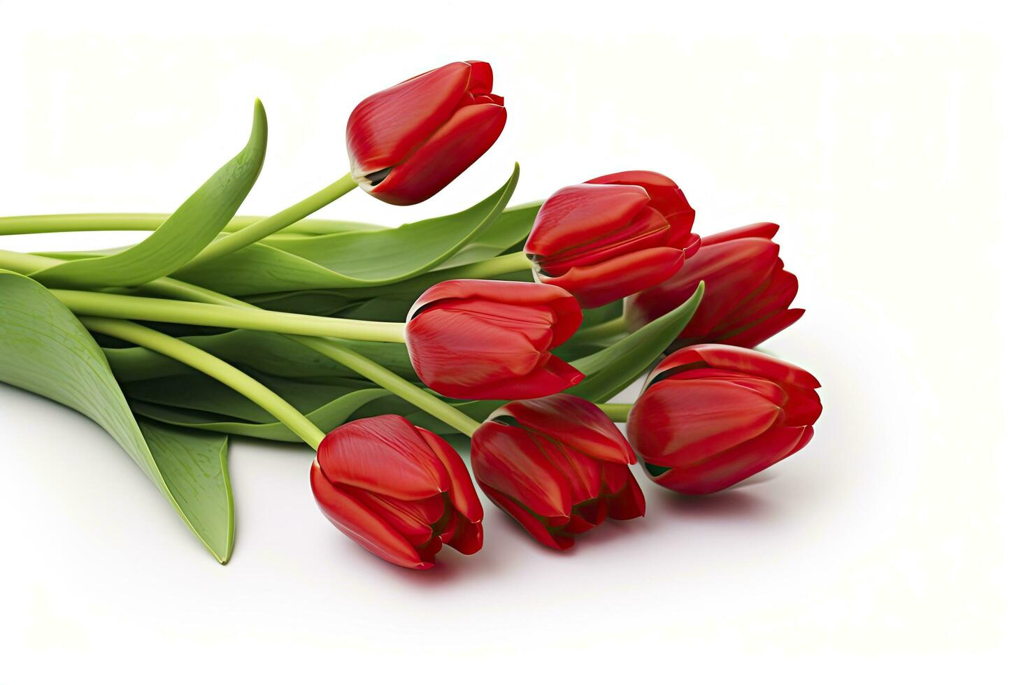 AI generated Red tulips isolated on white background. AI Generated photo