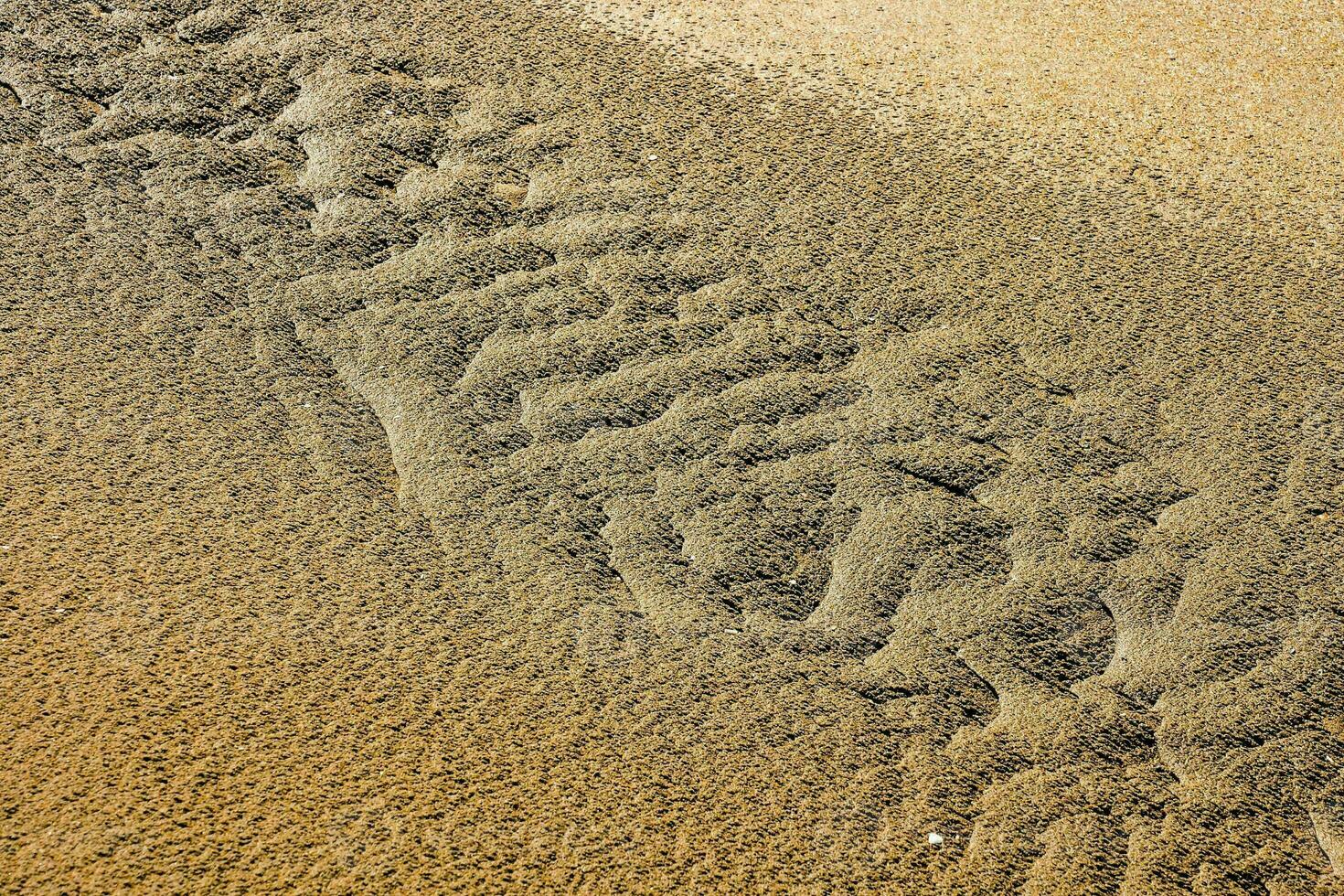 a sand dune with a pattern photo