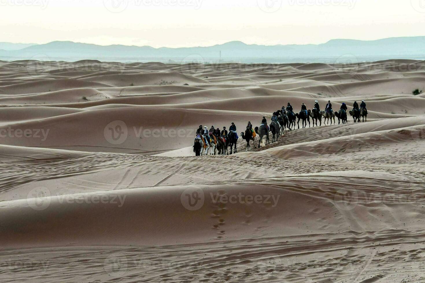 a group of people on camels are riding through the desert photo