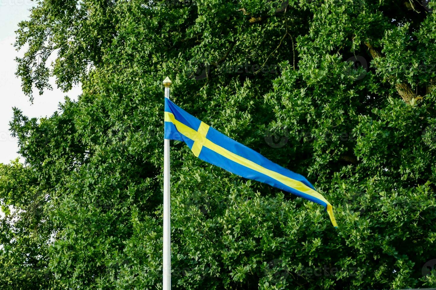 swedish flag flying in the wind photo