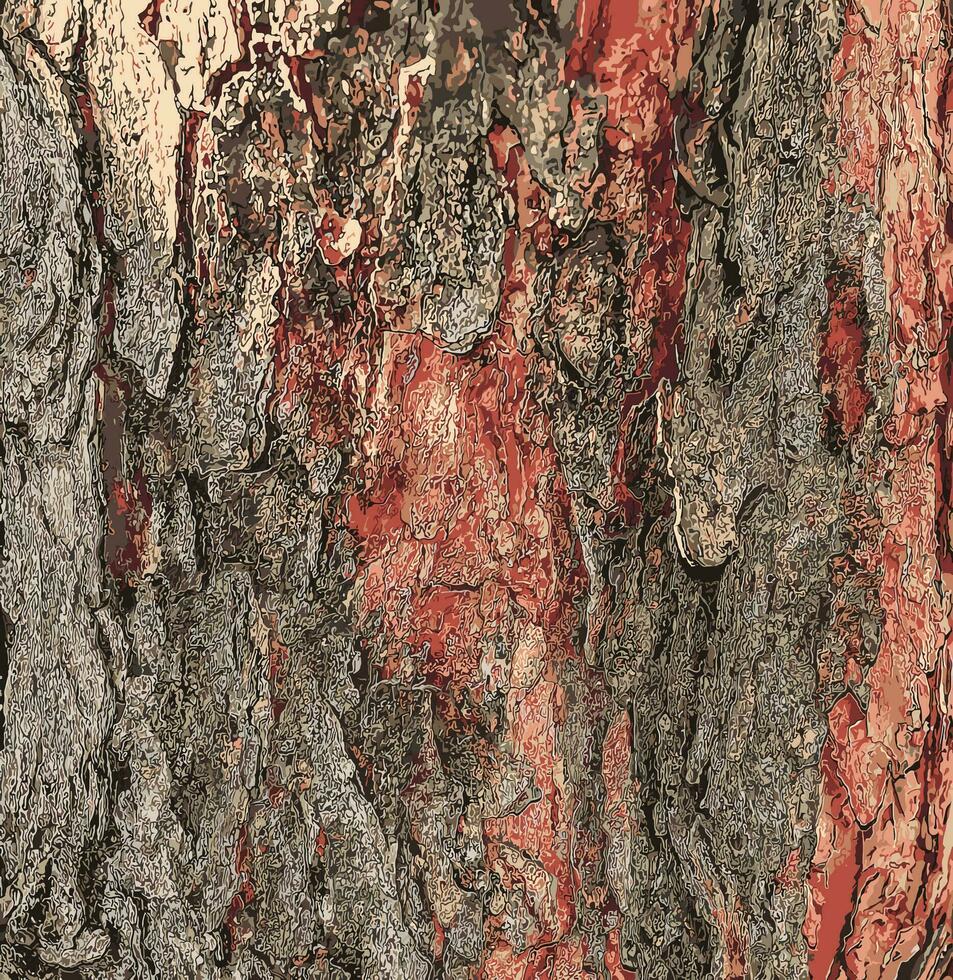 Vector illustration of the background and texture of the bark of the purple plant or Cercis canadensis in Latin.