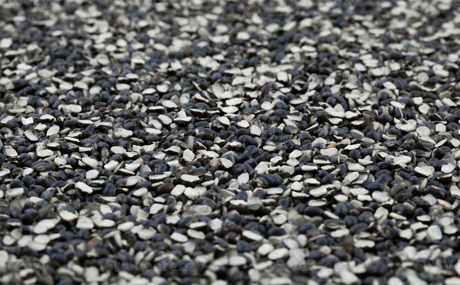 Split Black Lentil, Urad Dal Filled in As Background photo