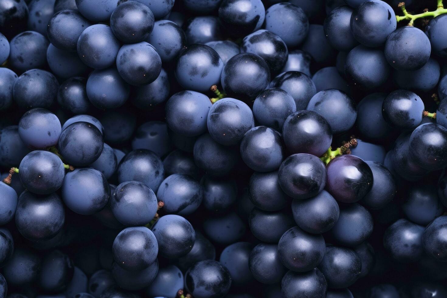 AI generated Flat lay background of vines, lots of organic blue dark grapes. AI Generated photo