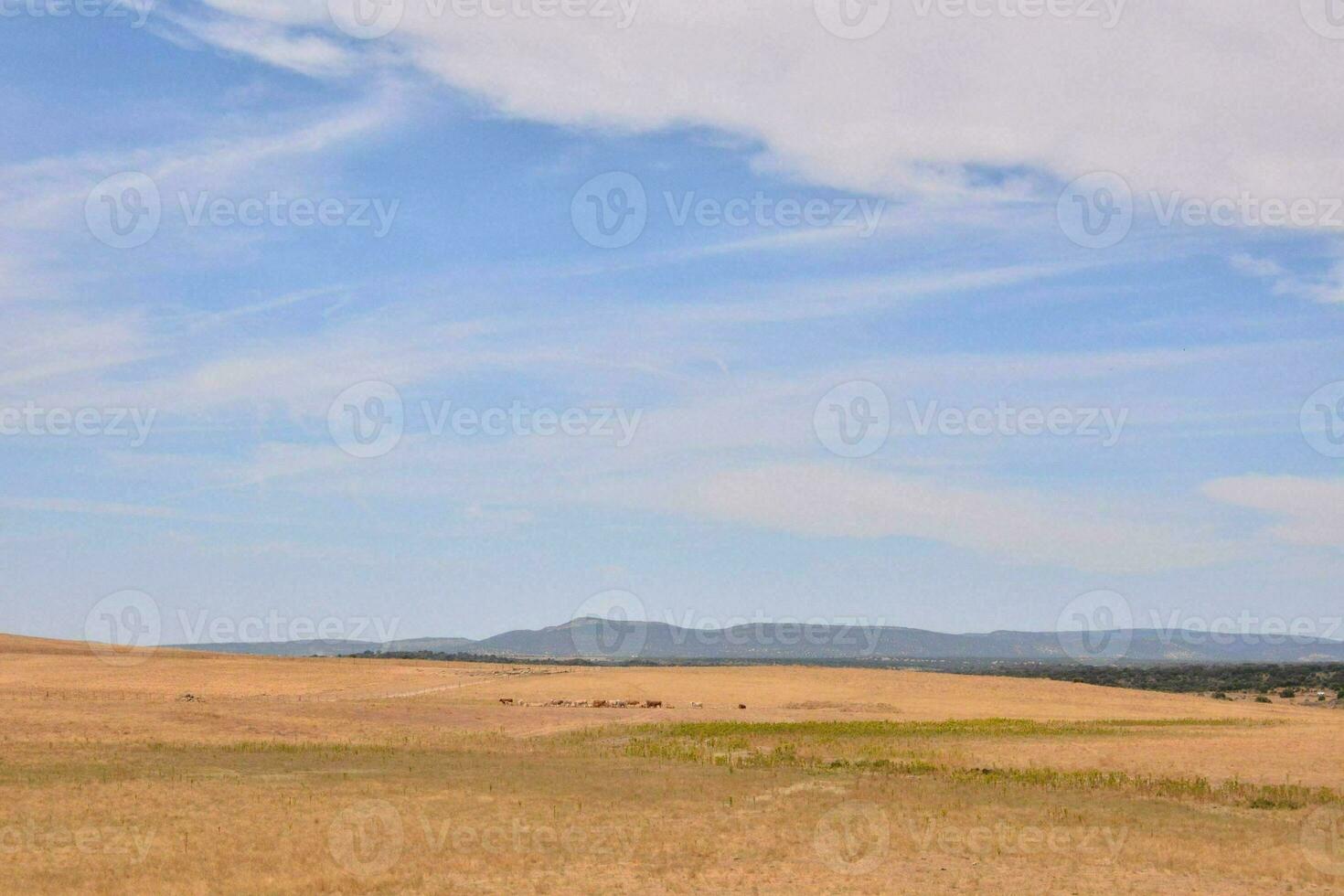 a large open field photo