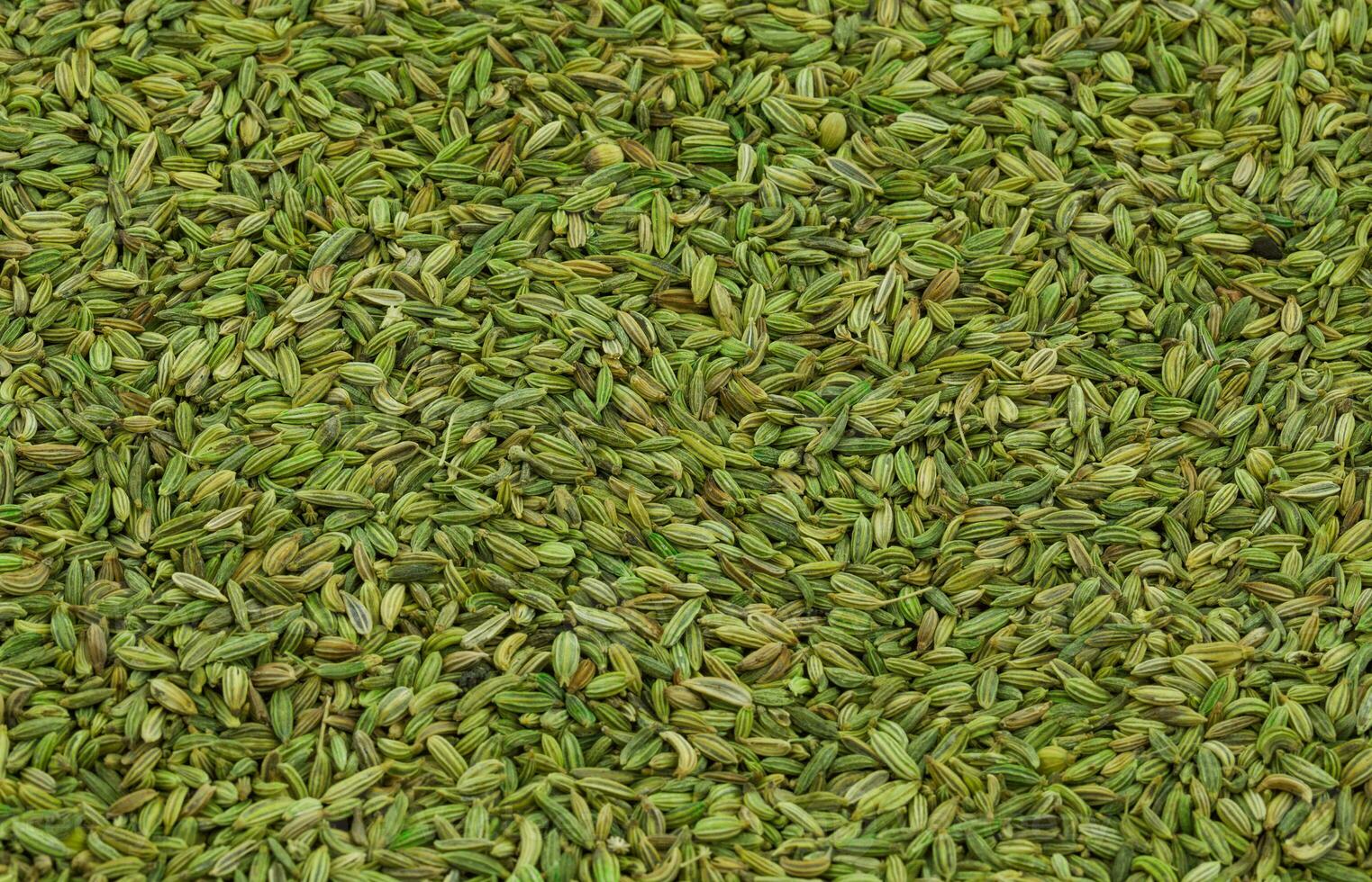 Fennel Seed or Saunf Indian Traditional Digestive Food photo