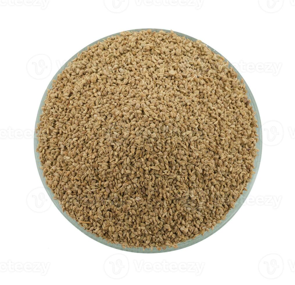 Ajwain Also Know as Ajowan, Caraway or Trachyspermum Ammi on White Background photo