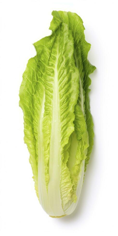 AI generated Lettuce isolated on white background. AI Generated ...