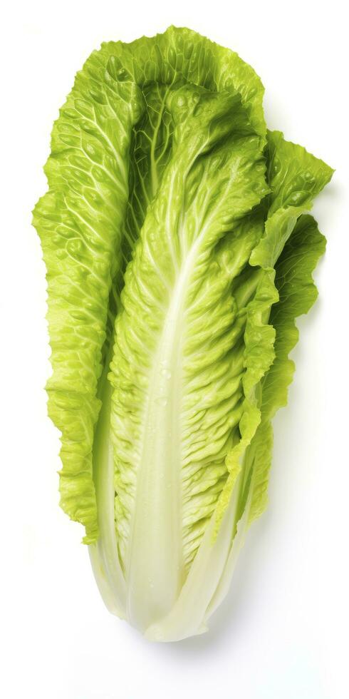 AI generated Lettuce isolated on white background. AI Generated photo