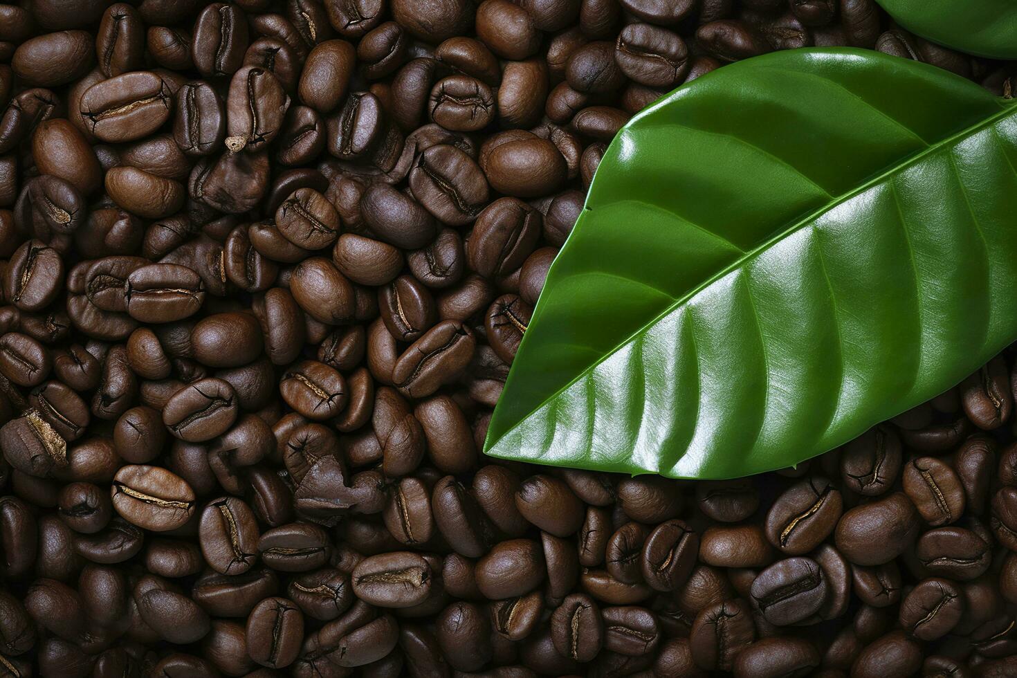 AI generated Green leaves with coffee beans as background. AI Generated photo