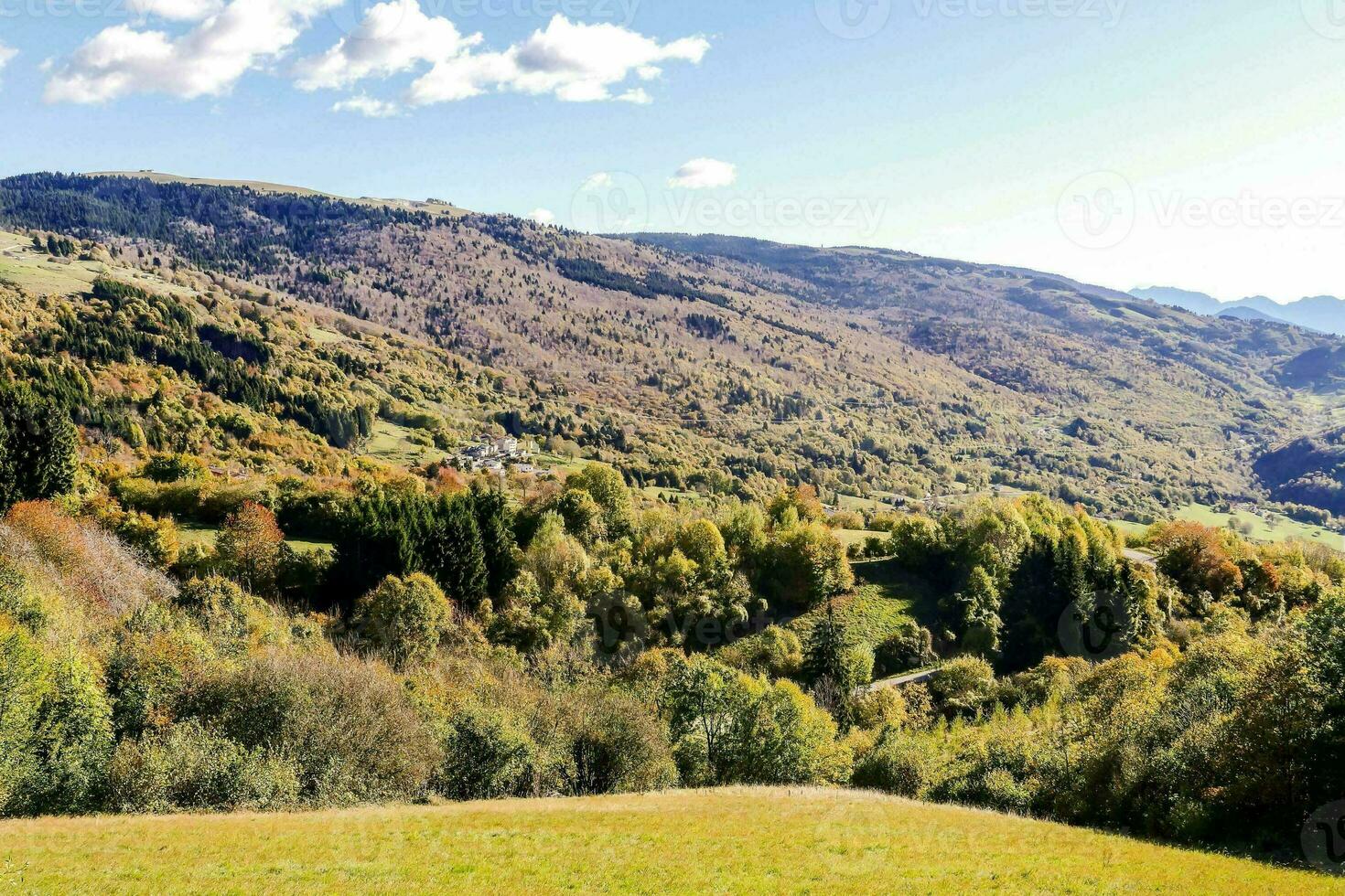 a view of the mountains and trees in autumn photo