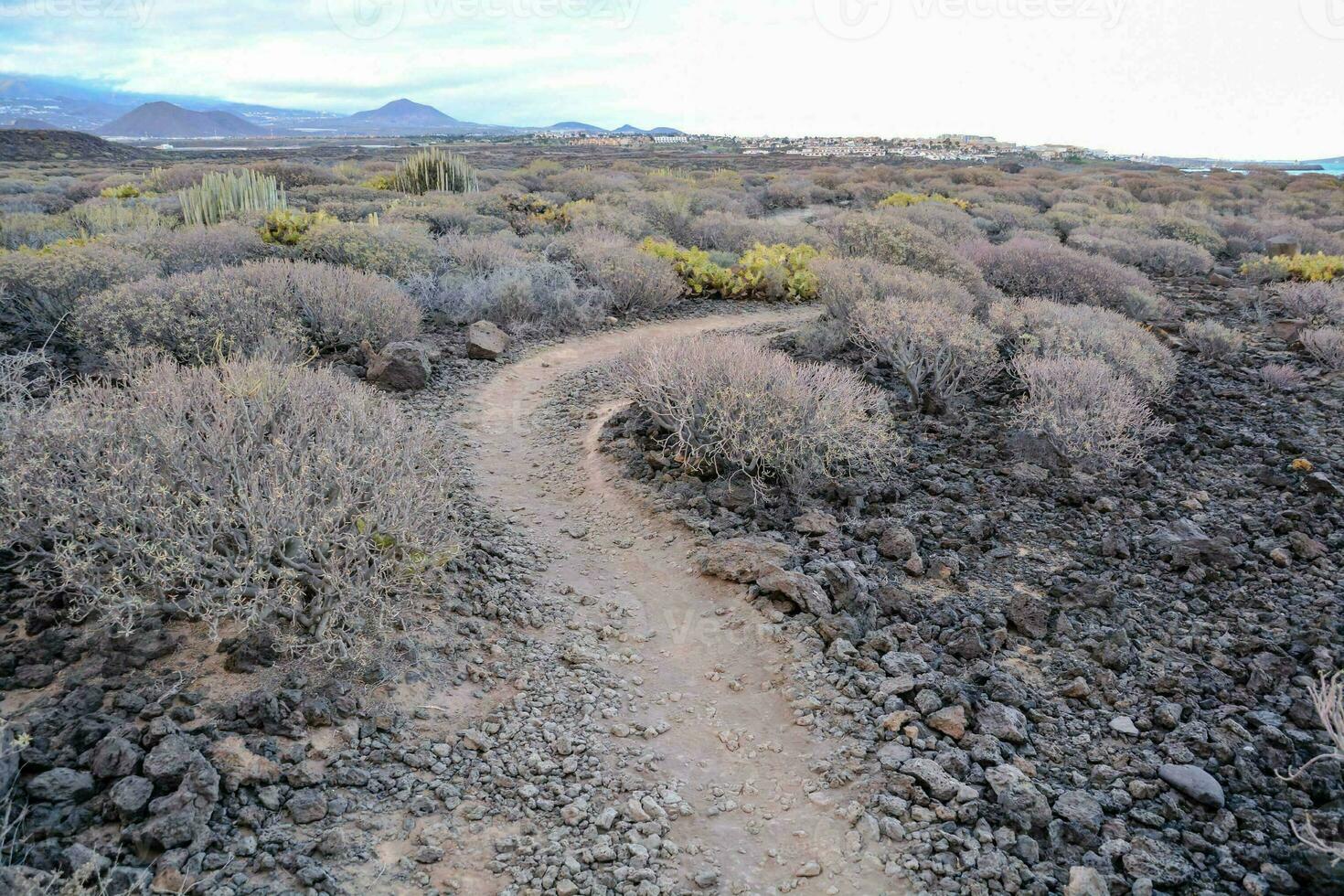 a dirt path in the desert with rocks and bushes photo