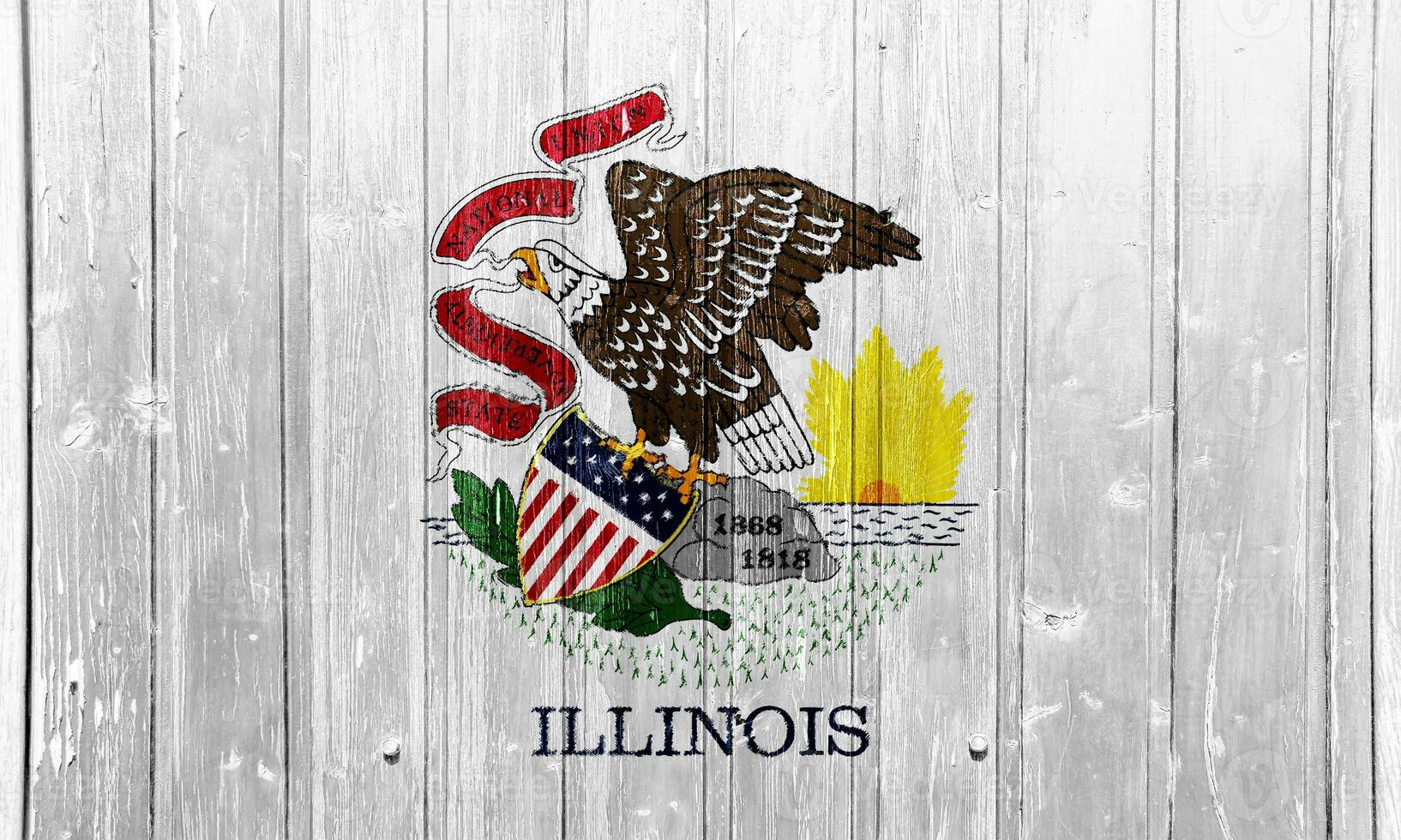 Flag of Illinois state USA on a textured background. Concept collage. photo