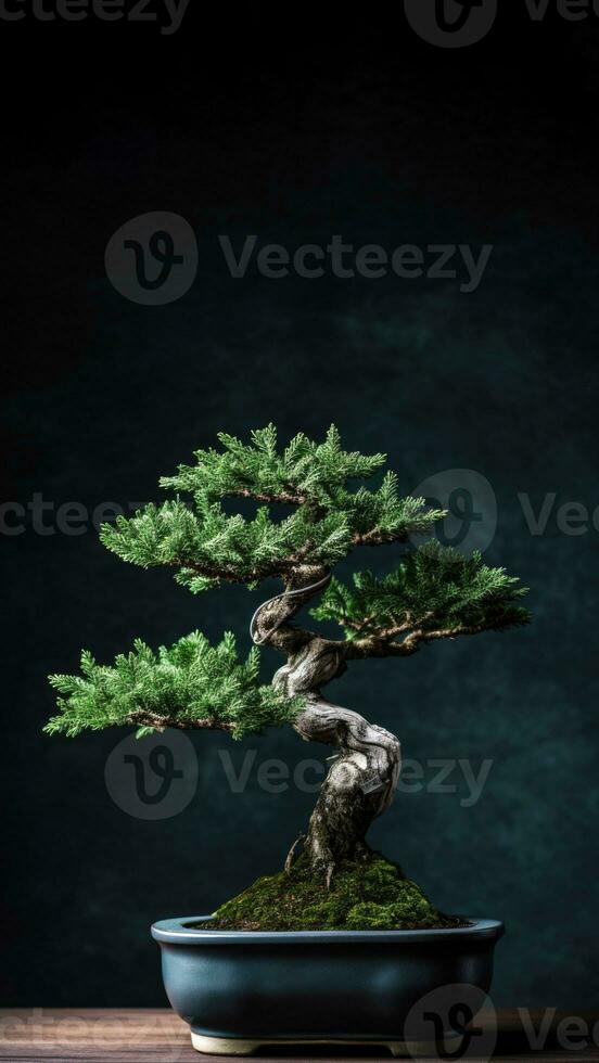 AI generated a bonsai tree in a black ceramic pot against a black vertical background. photo