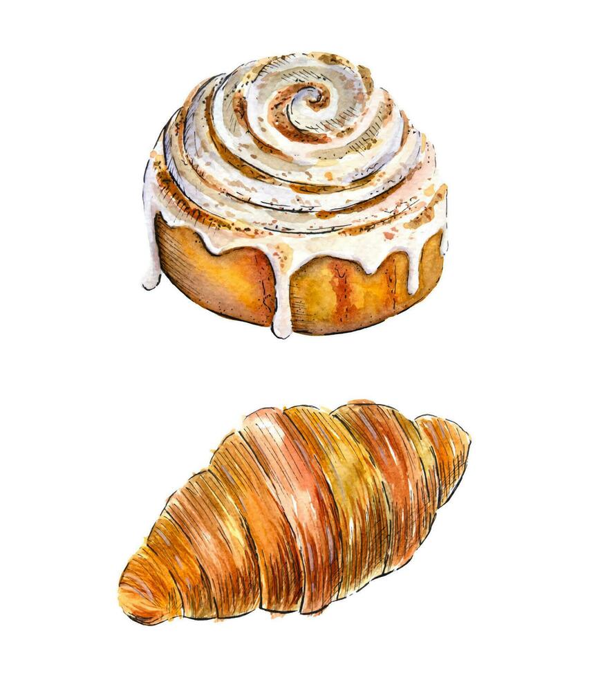 Hand drawn watercolor isolated cinnamon roll and a croissant. Watercolor bakery sketch. vector