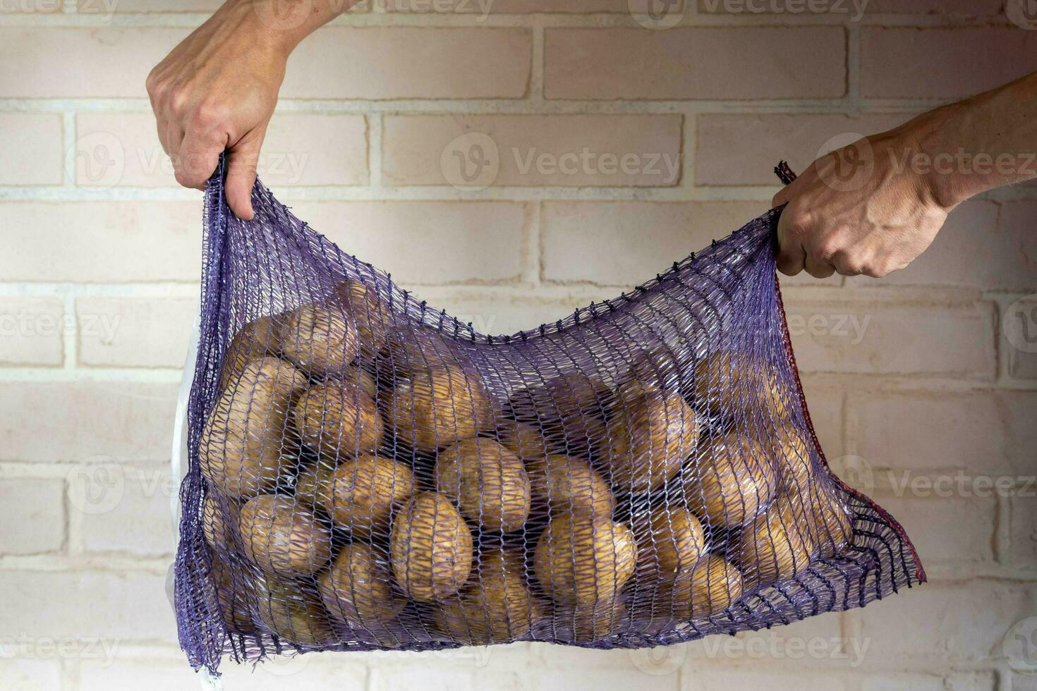 hombre participación un malla bolso de recién cosechado patatas para comida suministro foto